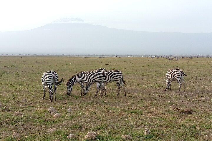 Private 2 Nights and 3 Days Amboseli Tour