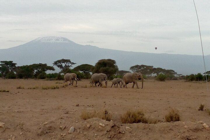 Private 2 Nights and 3 Days Amboseli Tour
