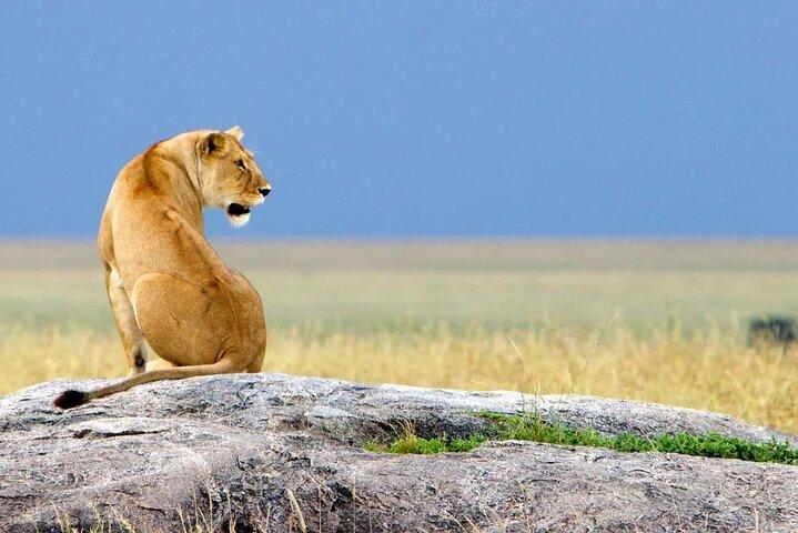 8 Days Wildlife Safari