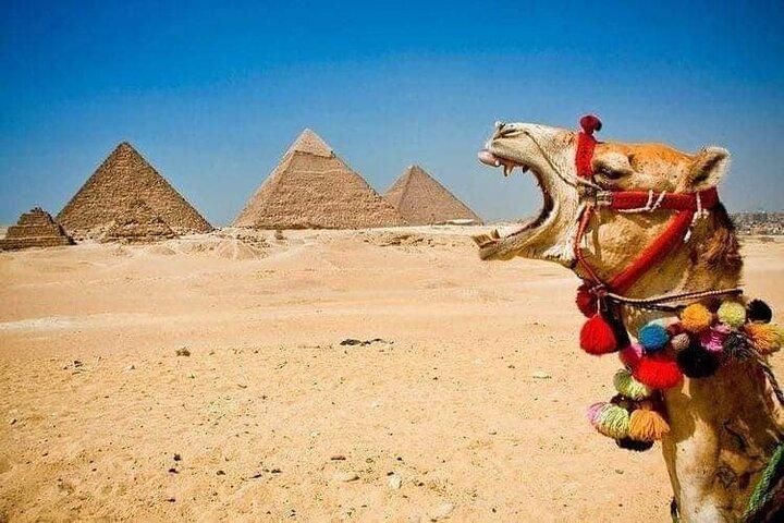 Giza pyramids+Sphinx+The Egyptian Museum