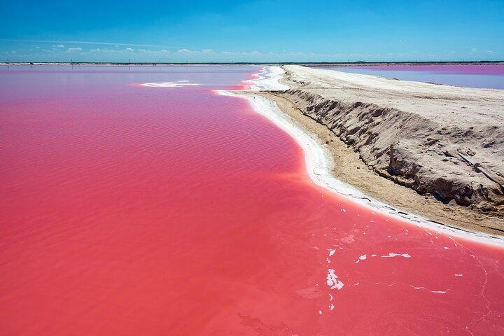 Las Coloradas Pink Lake & Rio Lagartos Guided Tour + Entry Fees