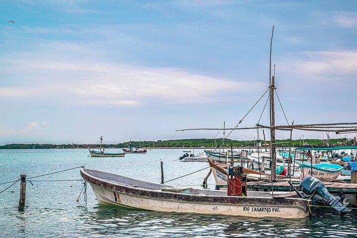 Las Coloradas Pink Lake & Rio Lagartos Guided Tour + Entry Fees