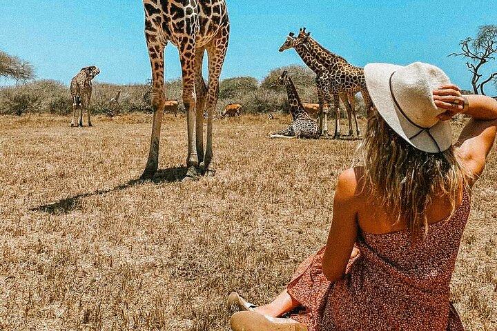 Nature Walk with Giraffes in Mombasa
