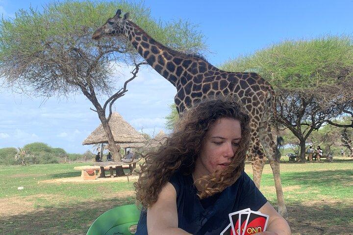 Nature Walk with Giraffes in Mombasa