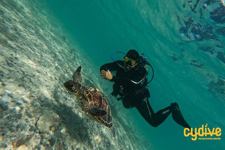 Half-Day Scuba Diving Tour - Discover Scuba Diving!
