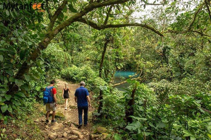 Rain forest Adventure to Rio Celeste Waterfall & Sloth Sanctuary