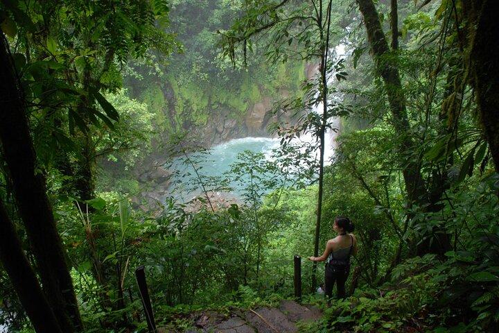 Rain forest Adventure to Rio Celeste Waterfall & Sloth Sanctuary