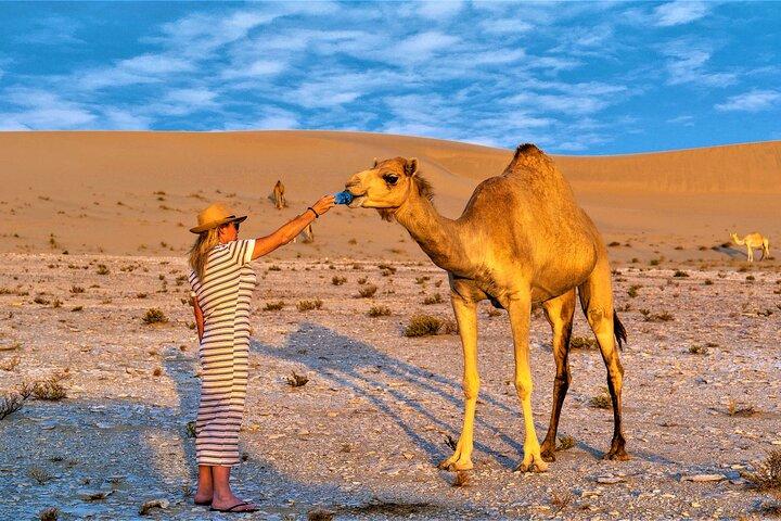 Half Day licensed Tours in Kuwait City & Desert PickUp & DropOff