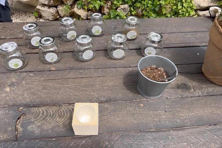 Tour in the heady scents of our garden in Ragusa