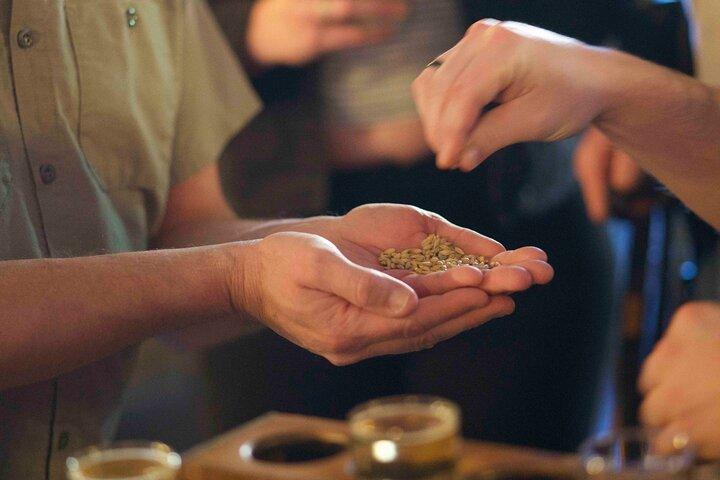 Premier Walking Guided Brewery Tour Through Downtown Asheville
