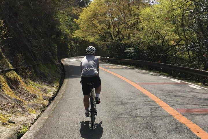 Osaka and Beyond Cycle Tour