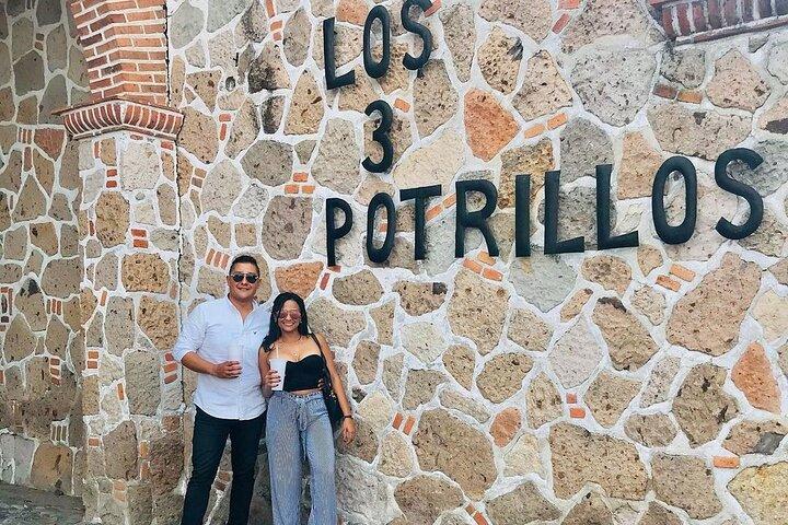 Private Full-Day Trip to Chapala and Ajijic from Guadalajara