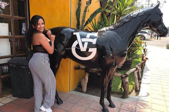 Private Full-Day Trip to Chapala and Ajijic from Guadalajara
