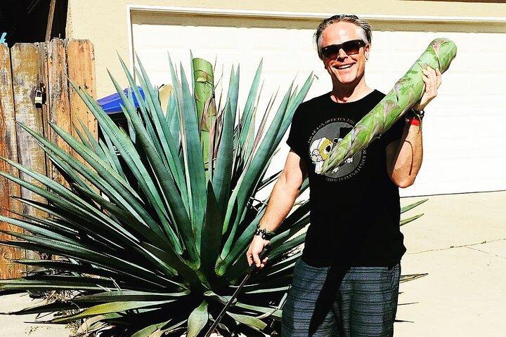 Private Tour La Fortaleza Distillery and visit to Tequila