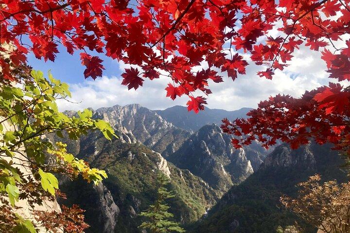 Seoraksan with Nami Island or Sinheungsa Temple tour from Seoul