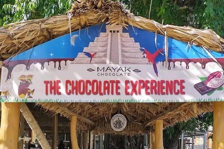 Roatan ATV Jungle Tour, Sloth & Monkeys, Chocolate & Rum Tasting