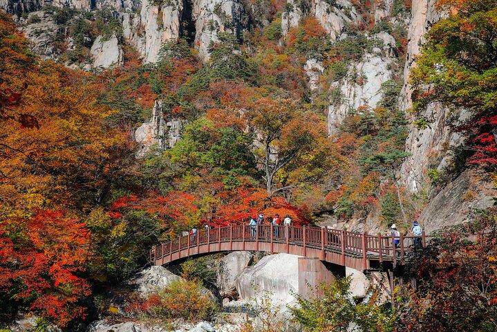 Mt. Seoraksan National Park Autumn Foliage Day Tour from Seoul