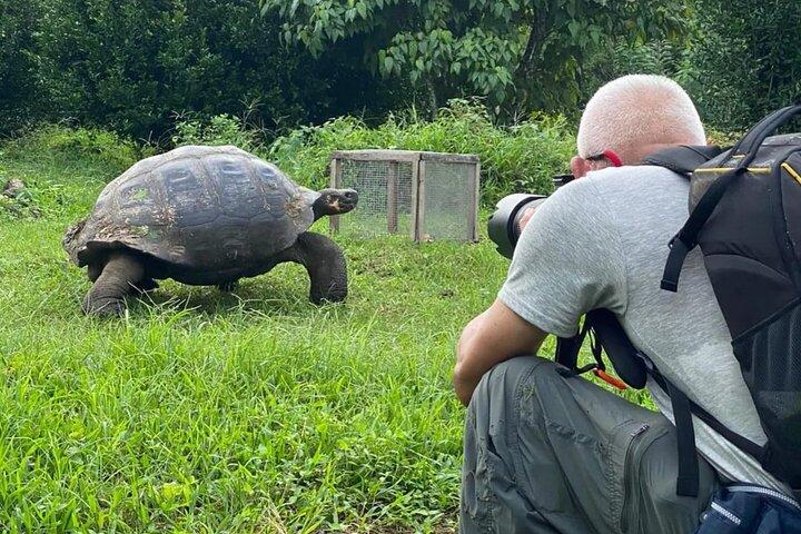 Giant Turtle Watching and Lava Tunnels Tour