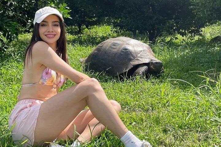 Giant Turtle Watching and Lava Tunnels Tour