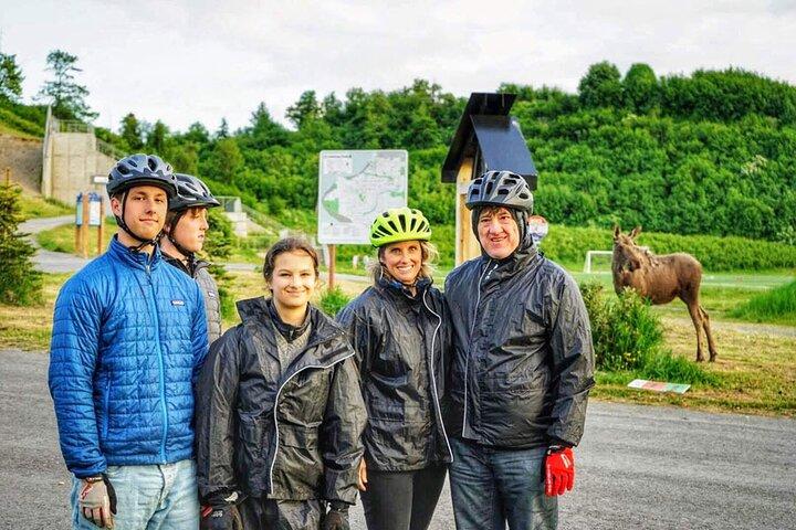 Tony Knowles Coastal Trail Scenic Bike Tour - MOST POPULAR