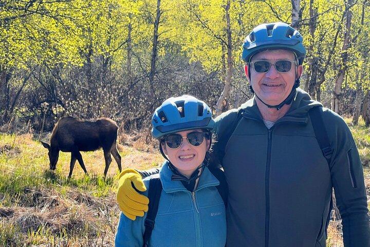 Tony Knowles Coastal Trail Scenic Bike Tour - MOST POPULAR
