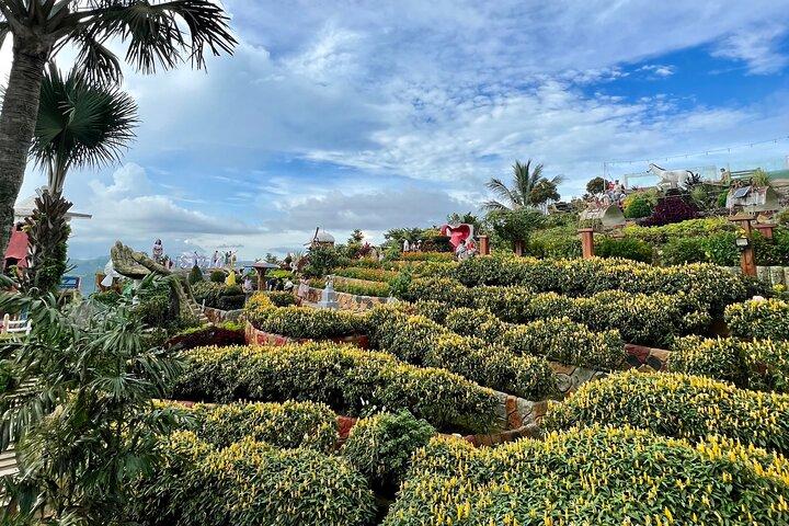 Cebu Highlands Tour (Tops,Taoist temple, Leah and sirao garden)
