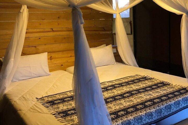 2 Days Private Serengeti Safari Tour