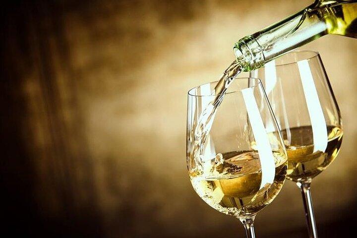 Small Group Full-Day Arrábida Wine Tour and Food Tasting