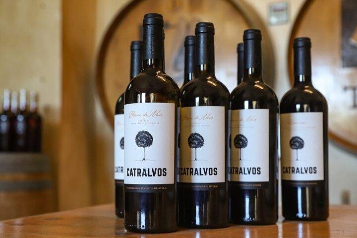 Small Group Full-Day Arrábida Wine Tour and Food Tasting