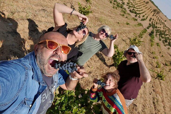 Ribera del Duero:4 Wineries, tasting & Lunch included from Madrid