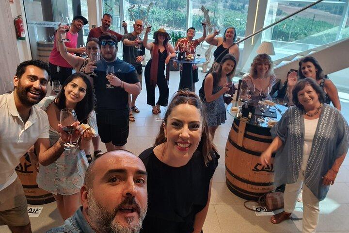 Ribera del Duero:4 Wineries, tasting & Lunch included from Madrid
