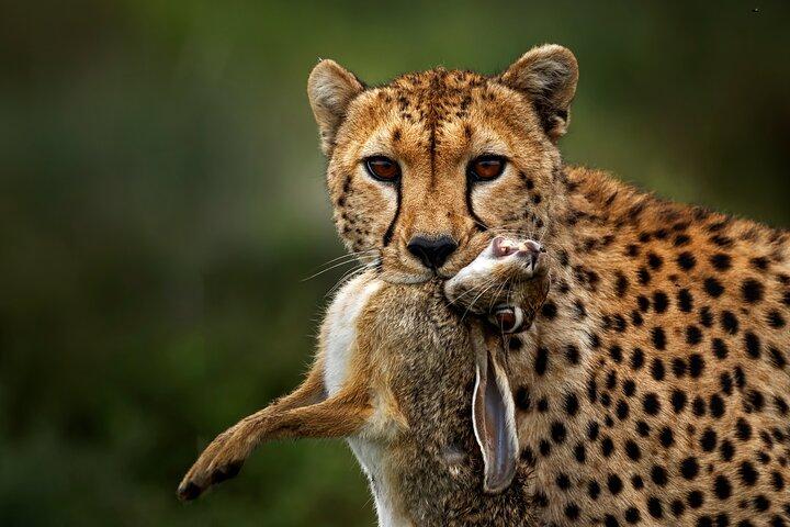 2 Days Tour in Lake Manyara National Park & Ngorongoro Crater