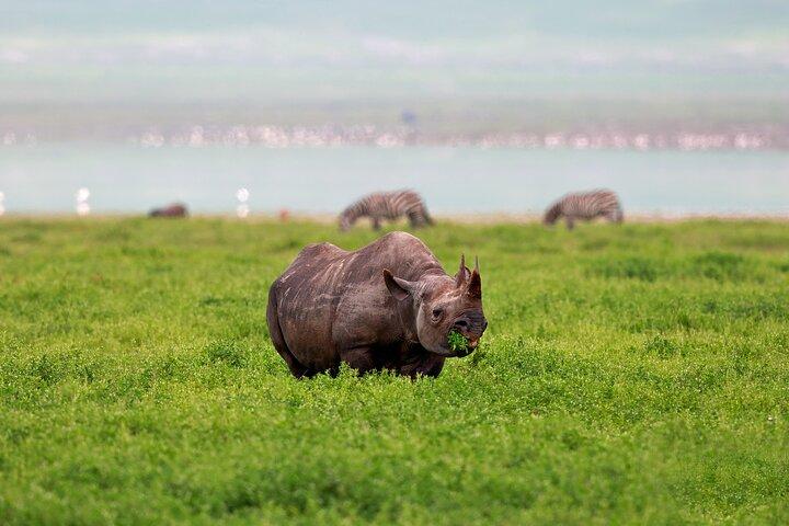 2 Days Tour in Lake Manyara National Park & Ngorongoro Crater