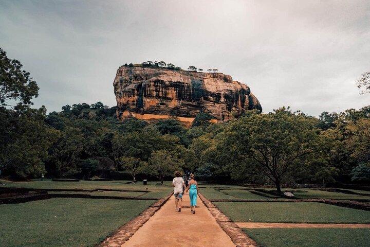 Full day tour to Dambulla, Sigiriya, Elephant Safari from Colombo