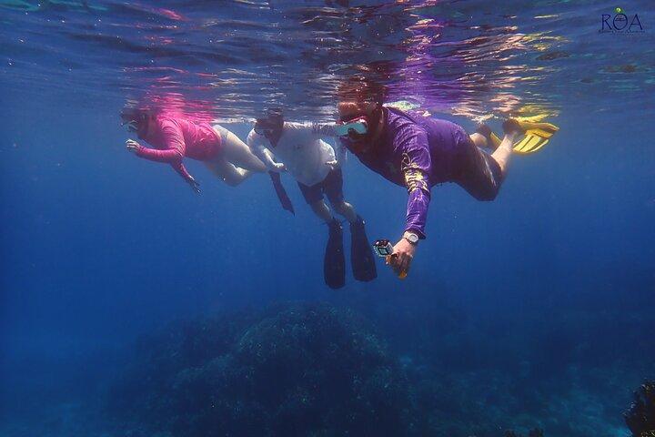 Roatan Drift Snorkel and Monkey/Sloth Sanctuary Tour