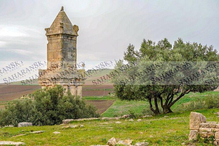 Dougga and Bulla Regia Via Testour + Lunch Small-Group Tour
