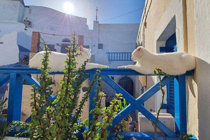 Private Tour: Santorini Panorama SUV Adventure