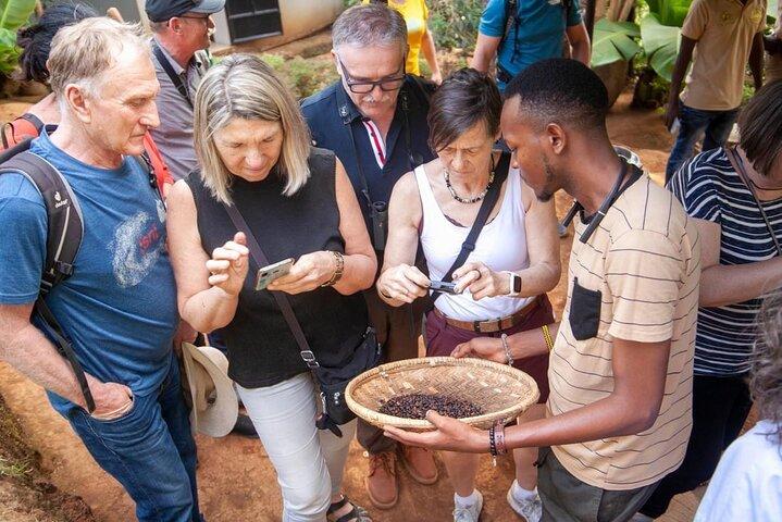 Full-Day Private Materuni Waterfalls and Coffee in Tanzania