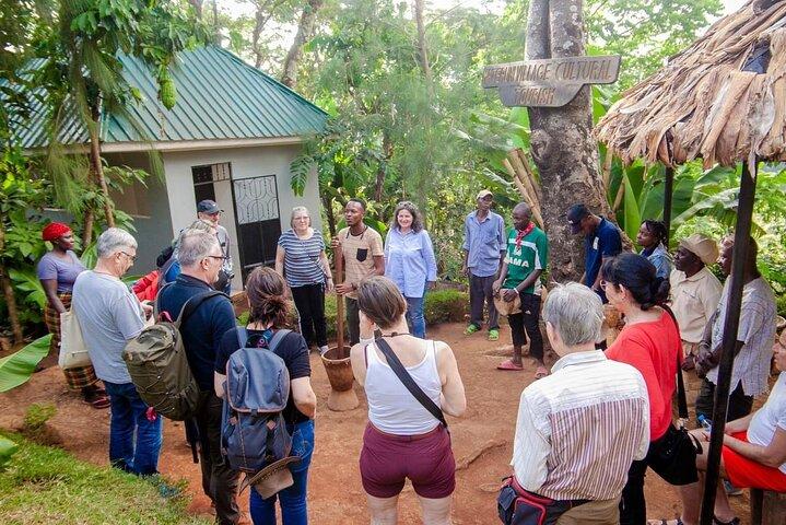 Full-Day Private Materuni Waterfalls and Coffee in Tanzania