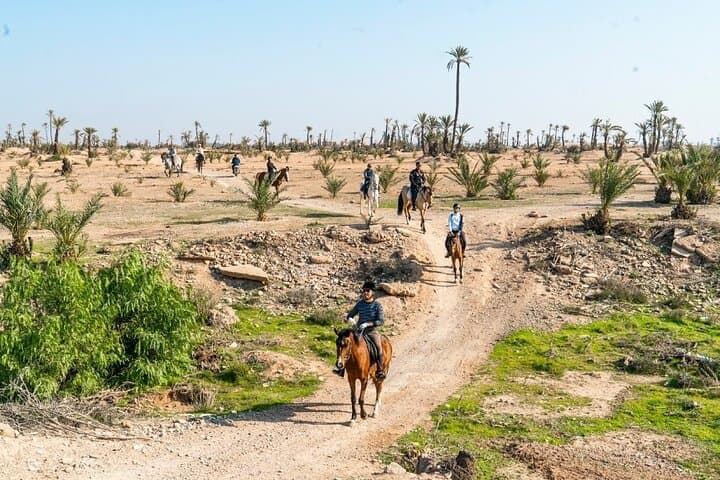 Marrakech : Balade à cheval Privée à la Palmeraie de Marrakech
