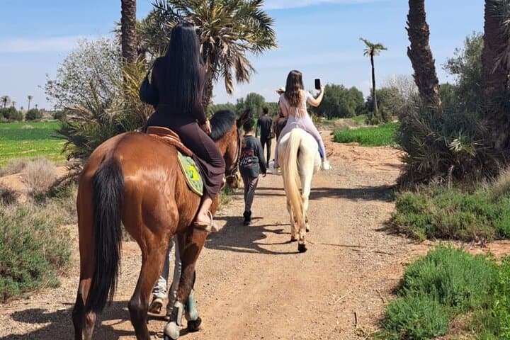 Marrakech : Balade à cheval Privée à la Palmeraie de Marrakech