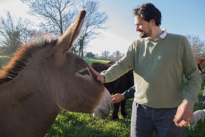 E-bike Tour to Alberobello with Visit to a Donkey Farm