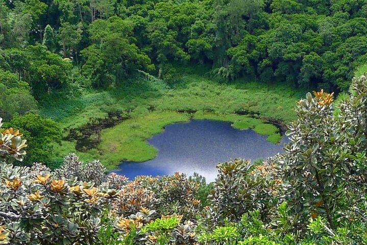 Private Full Day Tour in Mauritius