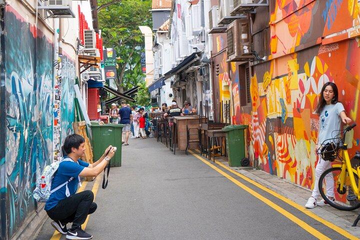 Singapore Private Street Art Walking Tour With A Licensed Guide