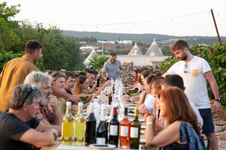 Wine Experience: vineyard, wines and food