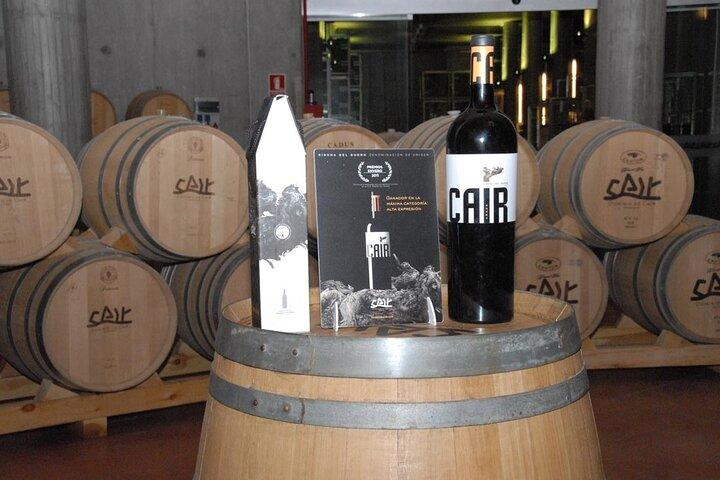 Private Wine Tasting And Visit Tour in Ribera Duero