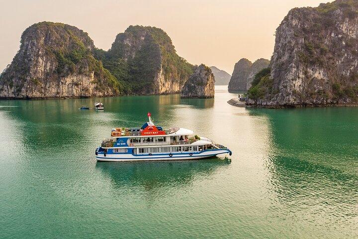 Cozy Bay Cruise 5 Star Halong Day Trip,Buffet Lunch,Cave & Island