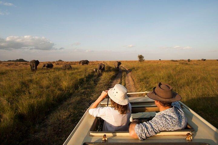 7 Days Tarangire, Serengeti & Ngorongoro Safari