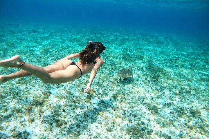 Colombia, Palancar & Cielo Cozumel Snorkel Tour