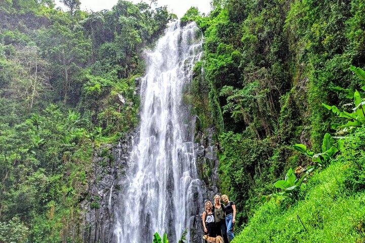 Materuni Village Waterfalls, Coffee Tour & Kikuletwa Hot Springs